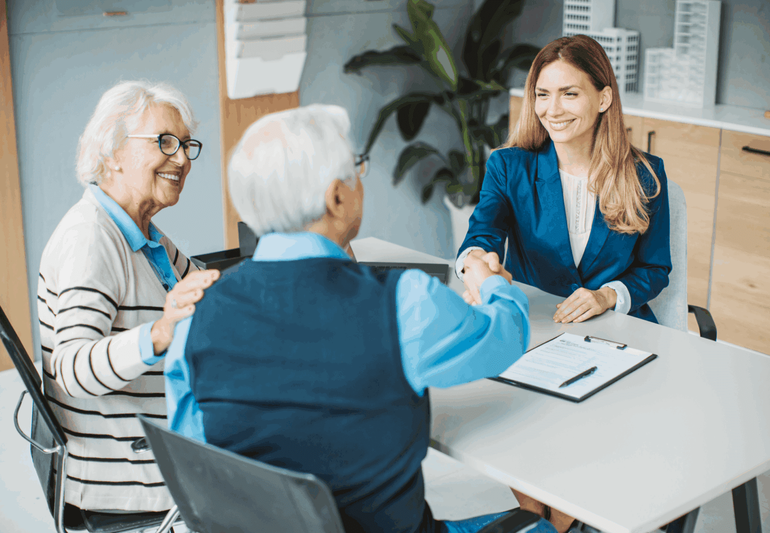 Business meeting between seniors and consultant
